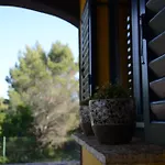 Panorama *